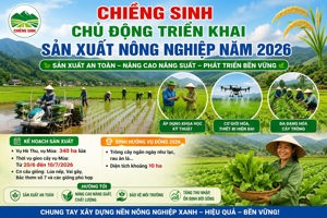 CHIỀNG SINH CHỦ ĐỘNG TRIỂN KHAI SẢN XUẤT NÔNG NGHIỆP NĂM 2026
